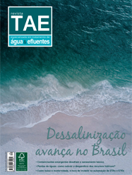 Edição 40