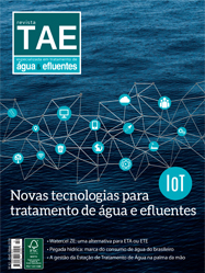 Edição 42