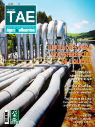 Edição 11