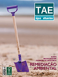Edição 33