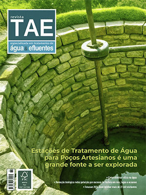Edição 81