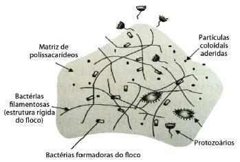 Microbiologia Dos Lodos Ativados