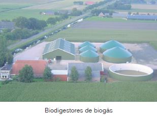 Biogás A Fonte De Energia Verde Do Futuro
