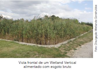 Tratamento De Efluentes Com Wetlands E Jardins Filtrantes Construídos Artificialmente