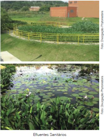 Tratamento De Efluentes Com Wetlands E Jardins Filtrantes Construídos Artificialmente