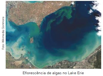 A Epa Concede Quase Us $ 4,4 Milhões Para Restaurar O Lago Champlain, Protegendo Contra A Proliferação De Algas