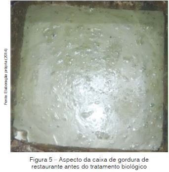Aplicação De Processos De Bioaumentação Na Eliminação De Gorduras Nas Caixas De Gordura De Restaurantes