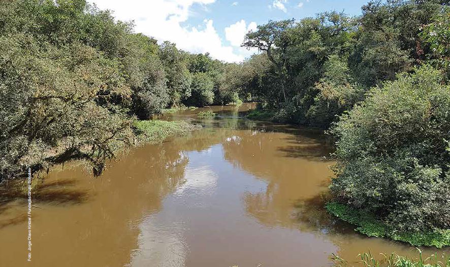 Movimento Quer Conservar E Restaurar Bacia Hidrográfica No Paraná Para Contribuir Com A Segurança Hídrica