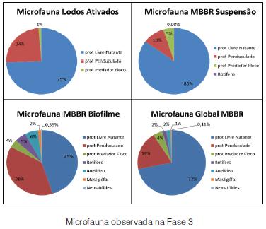 Influência do recebimento de lixiviado de aterro sanitário sobre a dinâmica populacional da microfauna em sistema de tratamento de esgoto sanitário
